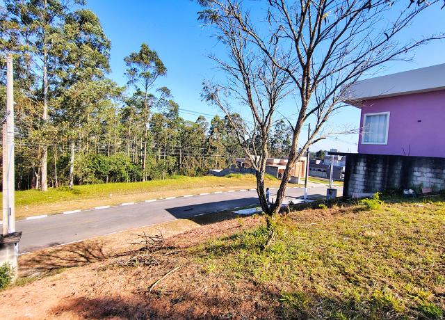 Terreno, 526 m² - Foto 5