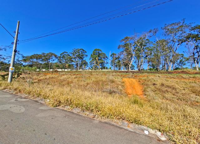 Terreno, 1000 m² - Foto 6