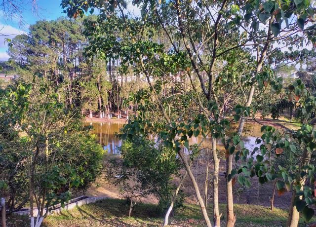 Terreno, 621 m² - Foto 23