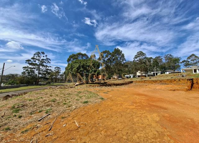 Terreno, 553 m² - Foto 4