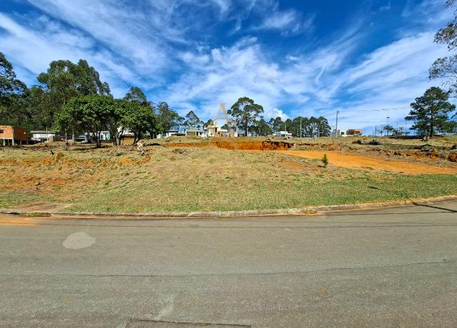 Terreno, 553 m² - Foto 5