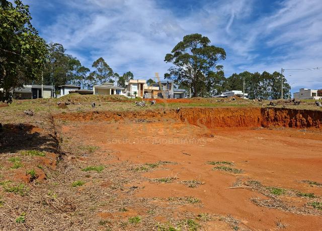 Terreno, 553 m² - Foto 7