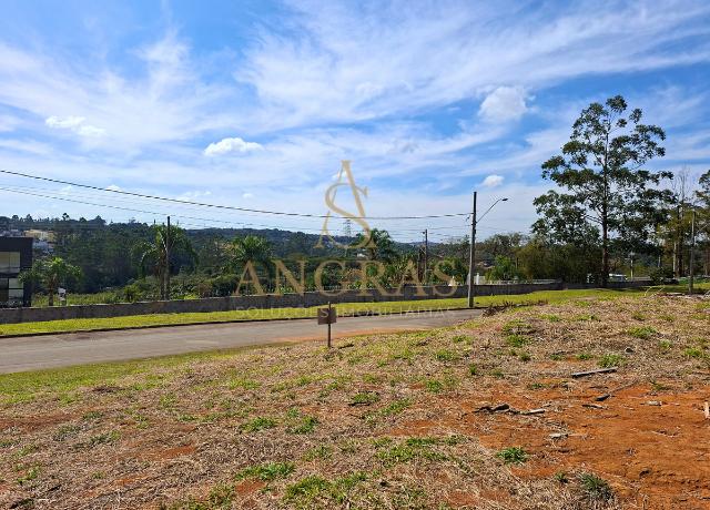 Terreno, 553 m² - Foto 6