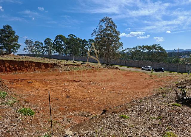 Terreno, 553 m² - Foto 8