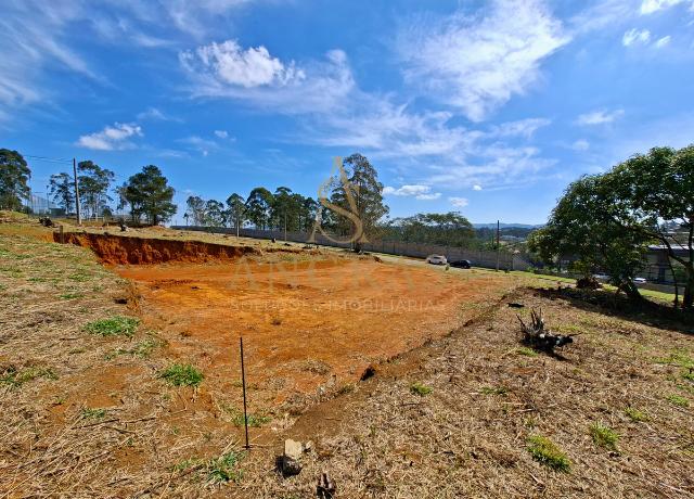 Terreno, 553 m² - Foto 9